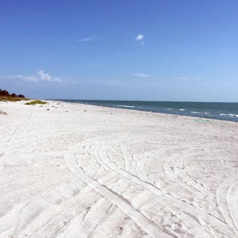 Sanibel and Captiva